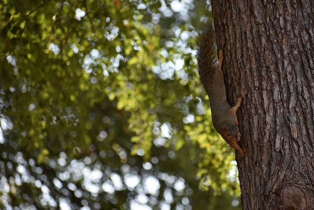 不仅因为 不仅因为