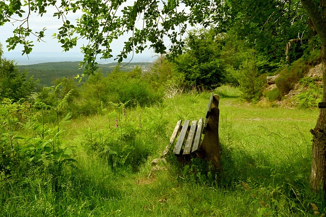 这名球员 这名球员