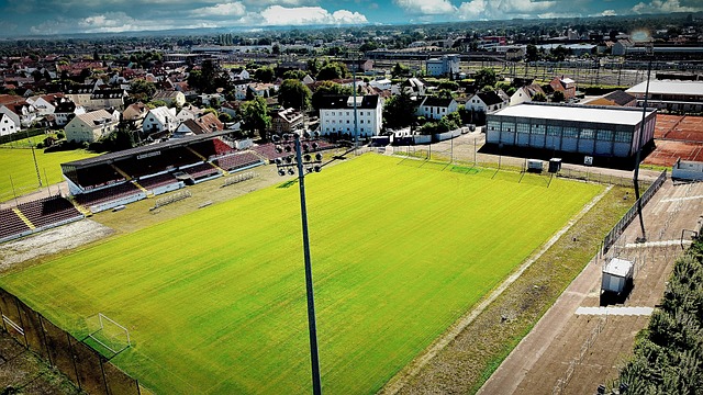 执行和防守 执行和防守