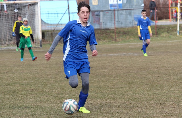 为草原文化 为草原文化