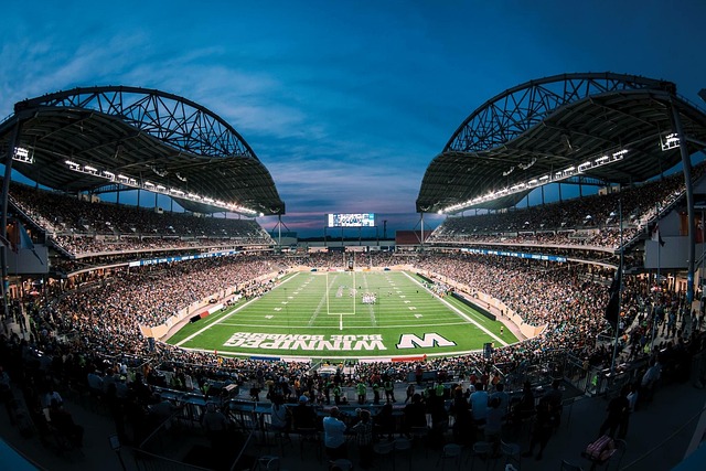 整体协调性 整体协调性