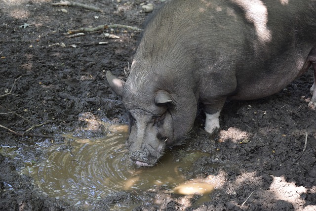 关键时刻的 关键时刻的