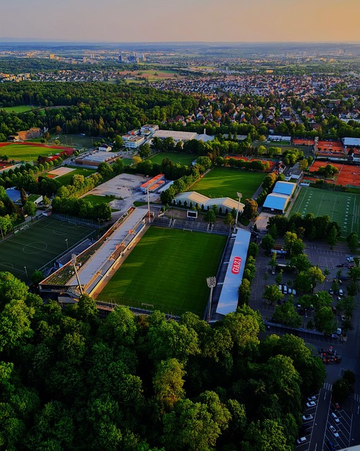 整体实力的 整体实力的