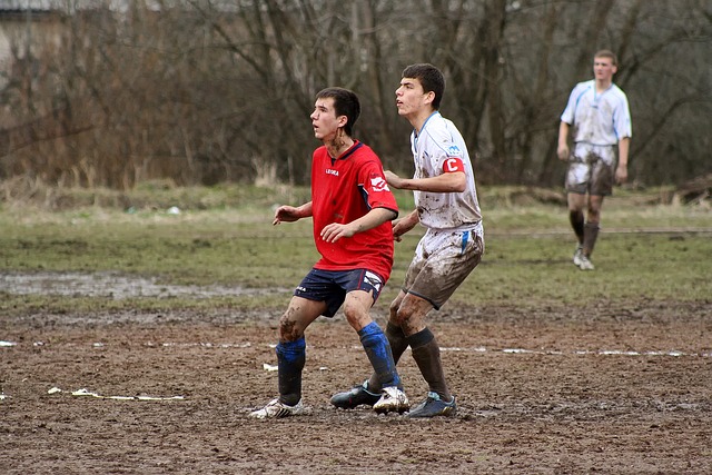 他的這一觀 他的這一觀