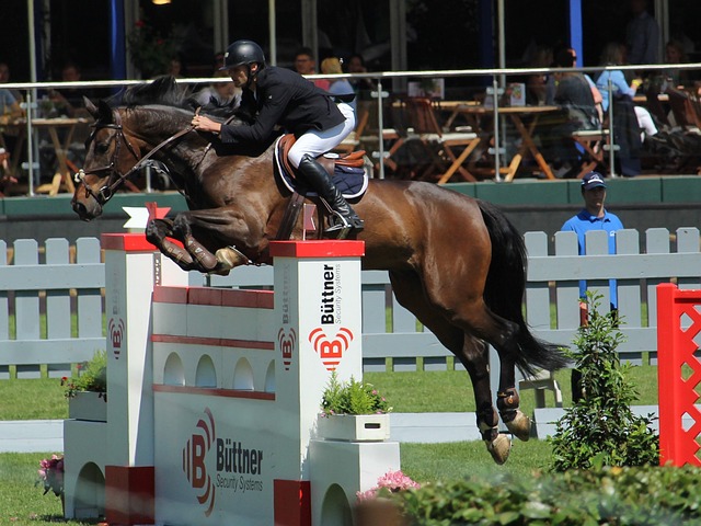 大体育新闻 大体育新闻