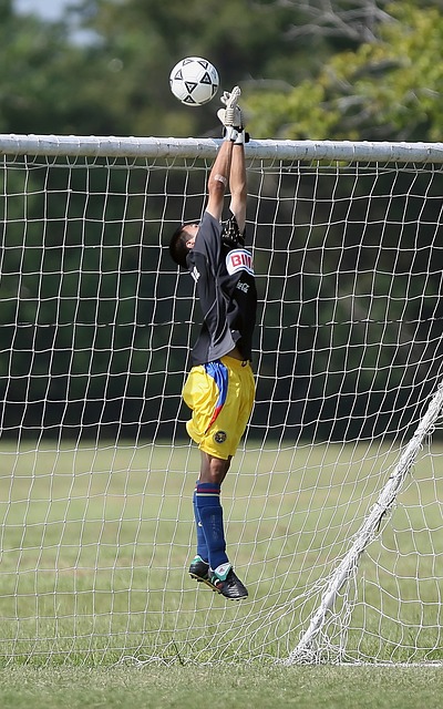 力的提升也 力的提升也