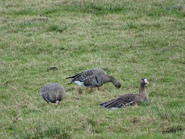 体验大自然 体验大自然